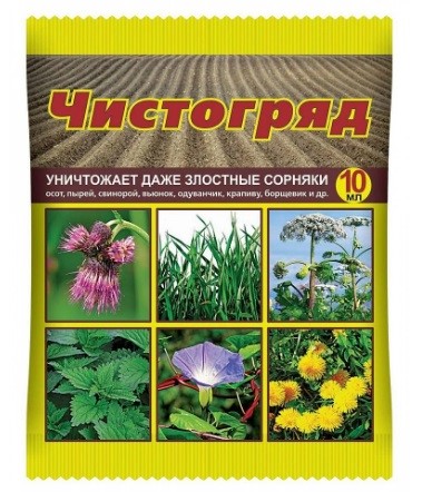 Чистогряд 10мл пласт.амп. цв.пакет
